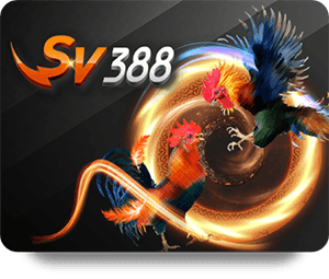 SV388 Cockfight